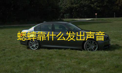 三角洲行动物资透视挂免费蟋蟀靠什么发出声音